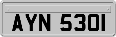 AYN5301
