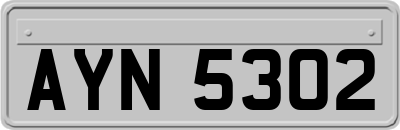 AYN5302
