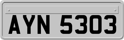 AYN5303