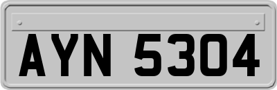 AYN5304