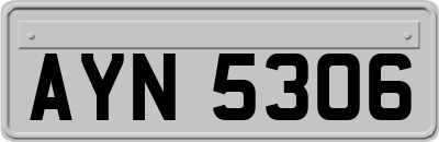 AYN5306
