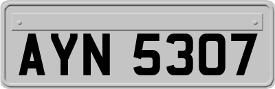 AYN5307