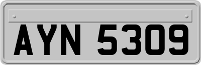 AYN5309