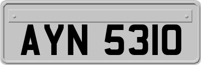 AYN5310