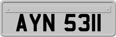 AYN5311