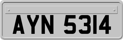 AYN5314