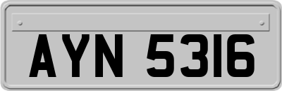 AYN5316