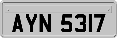 AYN5317