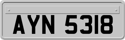 AYN5318