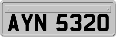 AYN5320