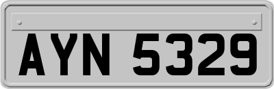 AYN5329