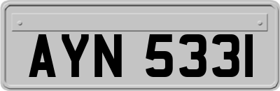 AYN5331