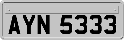 AYN5333