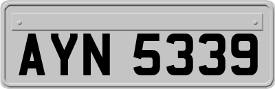 AYN5339
