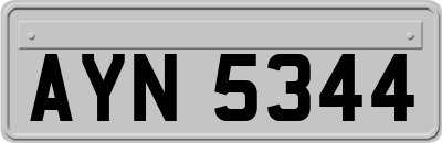 AYN5344