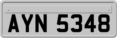 AYN5348