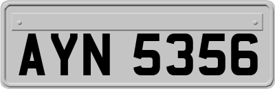 AYN5356