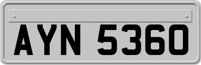 AYN5360
