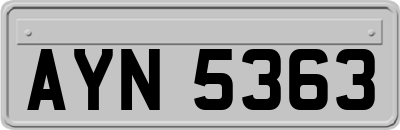 AYN5363