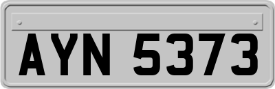 AYN5373