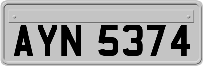 AYN5374
