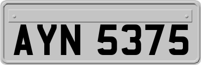 AYN5375