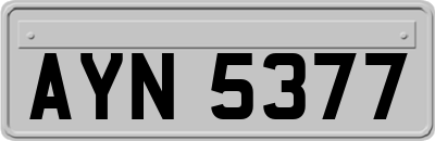 AYN5377