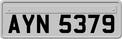 AYN5379