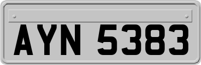 AYN5383