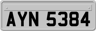 AYN5384