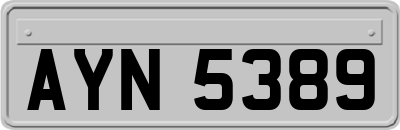 AYN5389