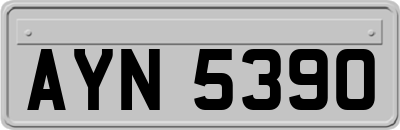 AYN5390