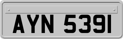 AYN5391