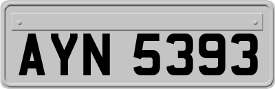 AYN5393