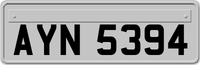 AYN5394