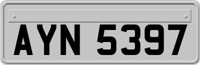 AYN5397