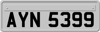 AYN5399