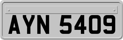 AYN5409