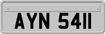 AYN5411