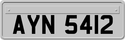 AYN5412