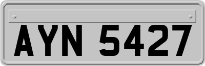 AYN5427