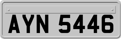 AYN5446