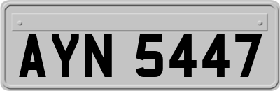 AYN5447