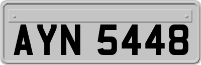 AYN5448