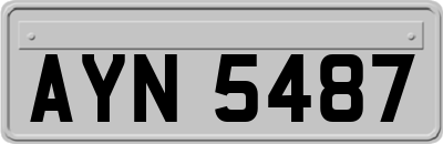 AYN5487
