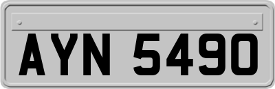 AYN5490
