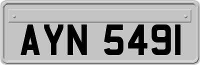 AYN5491