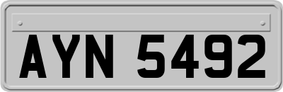 AYN5492