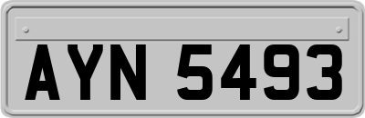 AYN5493