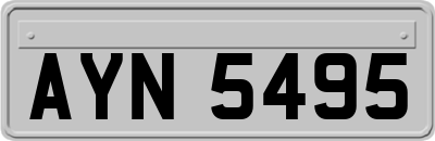 AYN5495